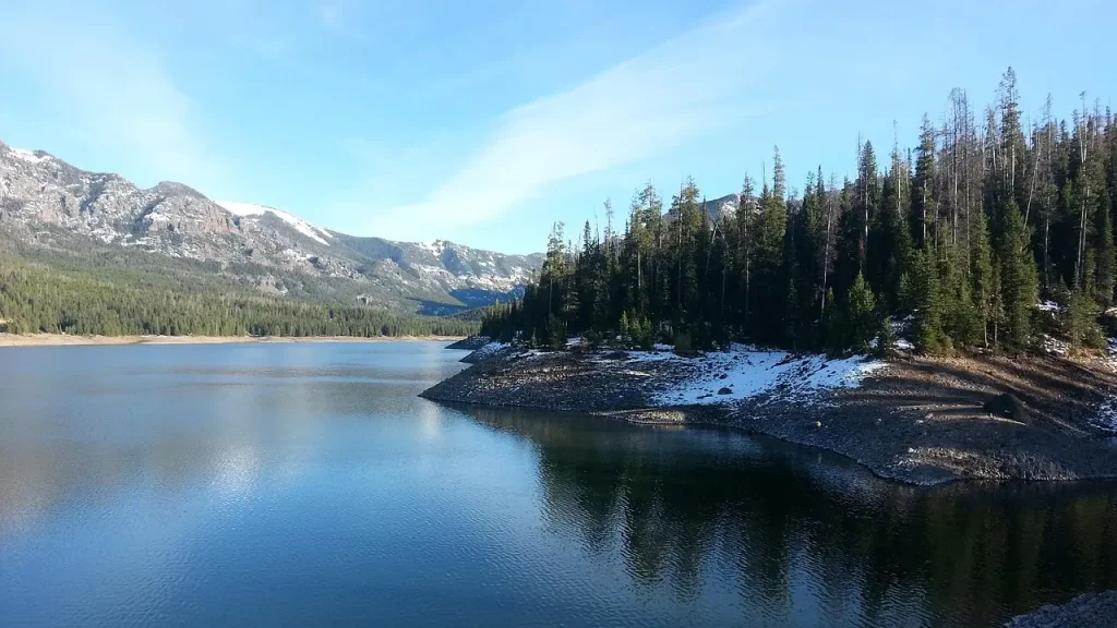 movers in montana 