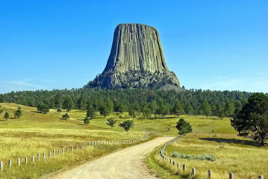 Wyoming movers