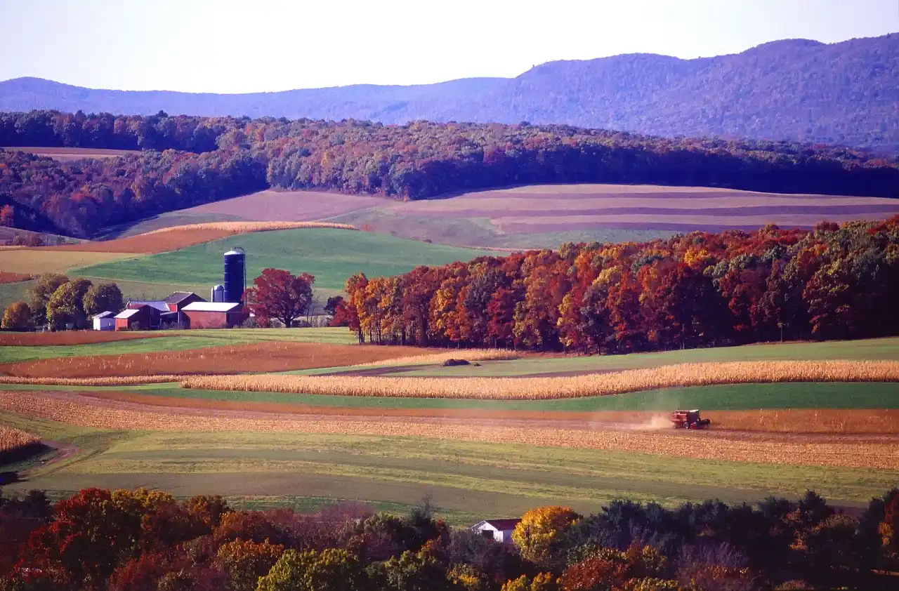 movers in pennsylvania